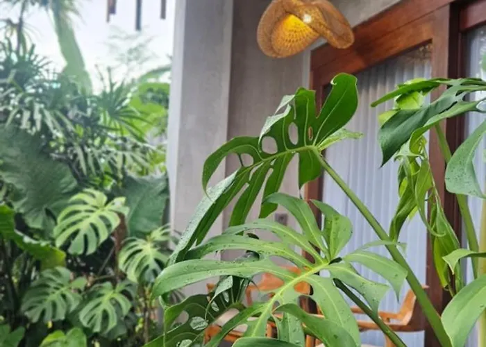 Dhanyasari House